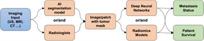 Application of artificial intelligence in predicting lymph node metastasis in breast cancer